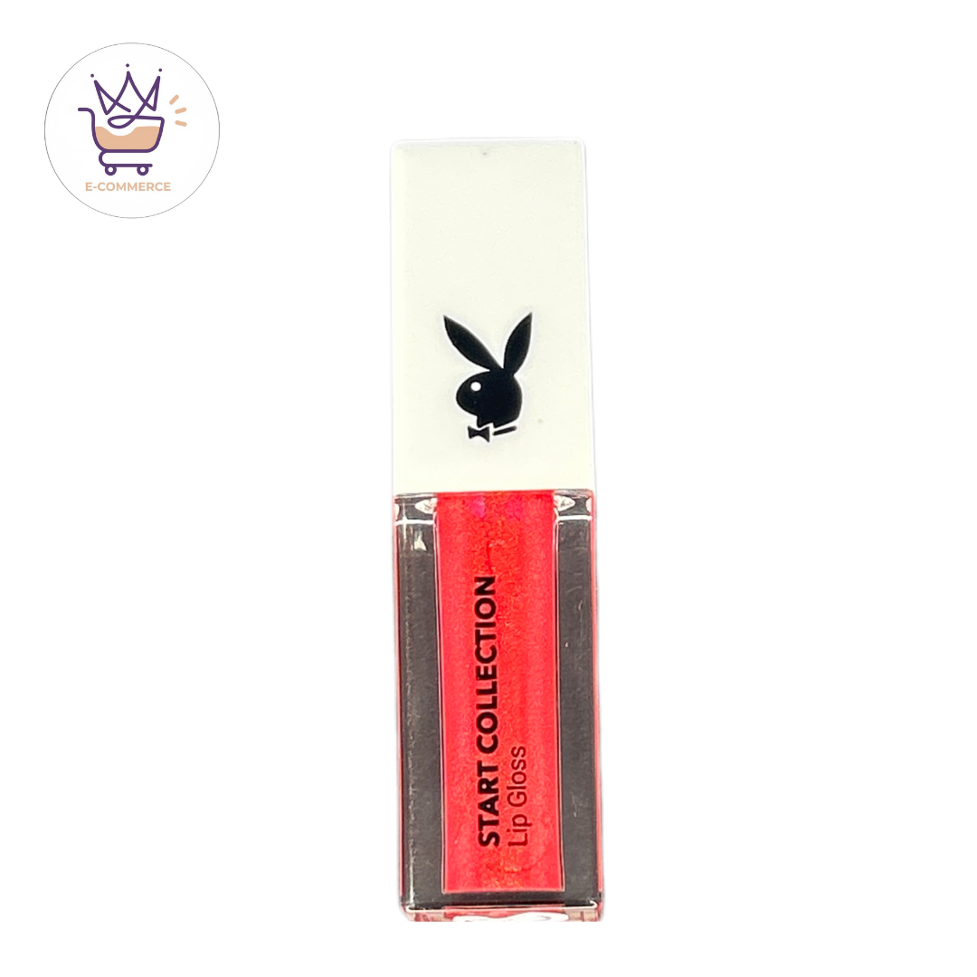 Lip gloss -Playboy